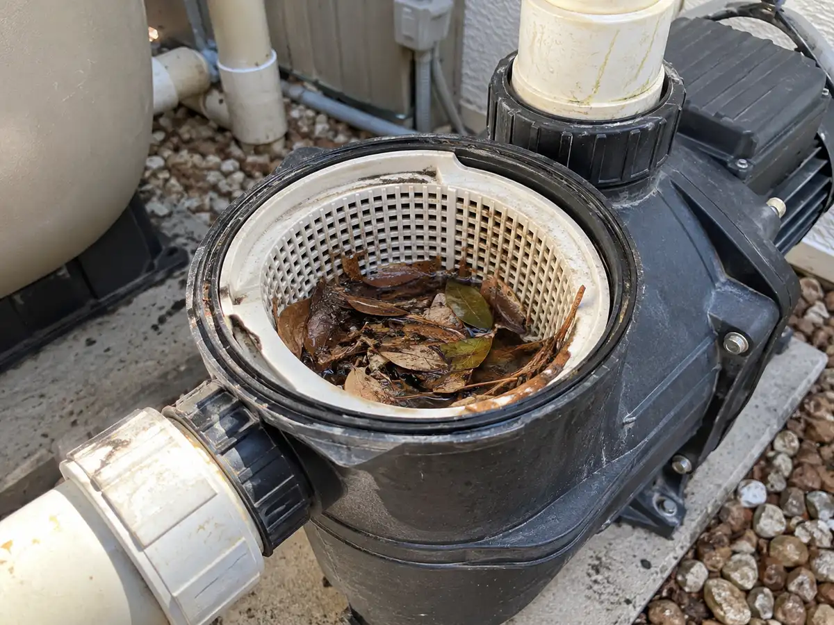 Leaves and debris accumulated in a pool pump strainer basket